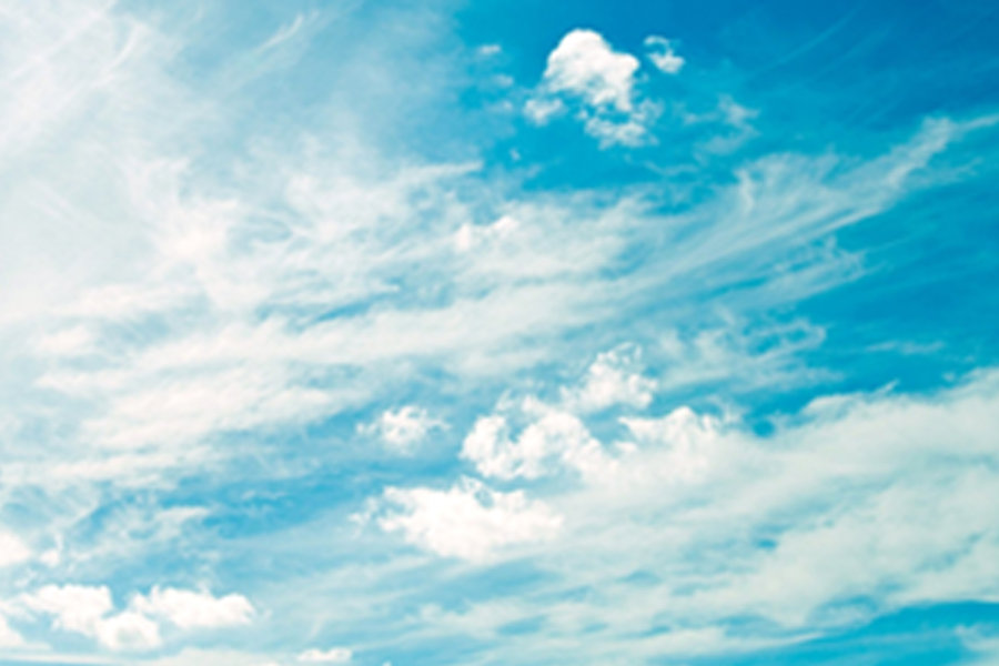 バーズ・ビュー株式会社