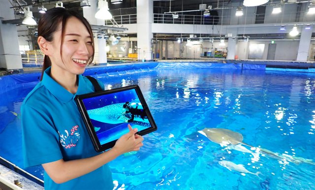 一般財団法人 沖縄美ら島財団